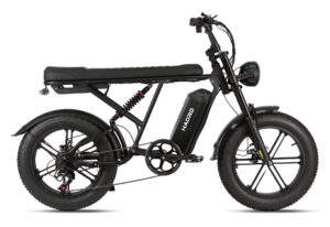 HAORD MYT-2506 — E-bike 20"
